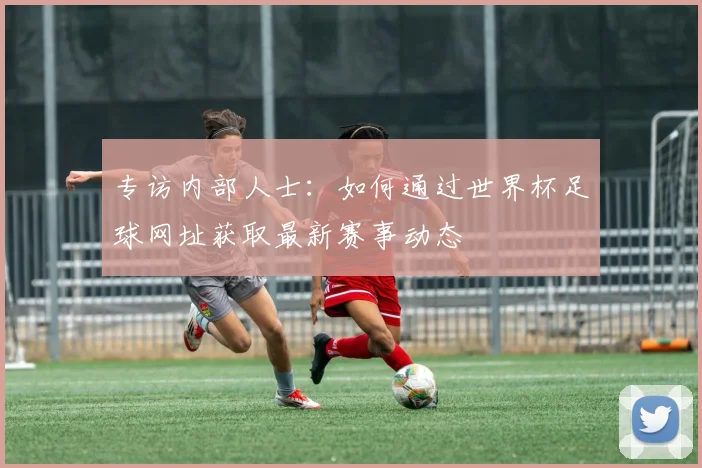 专访内部人士:如何通过世界杯足球网址获取最新赛事动态