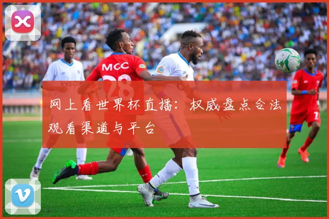 网上看世界杯直播：权威盘点合法观看渠道与平台