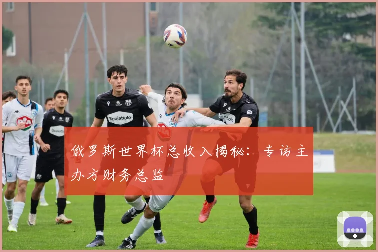 俄罗斯世界杯总收入揭秘:专访主办方财务总监