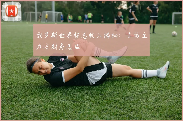 俄罗斯世界杯总收入揭秘:专访主办方财务总监