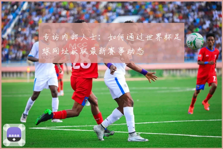 专访内部人士：如何通过世界杯足球网址获取最新赛事动态