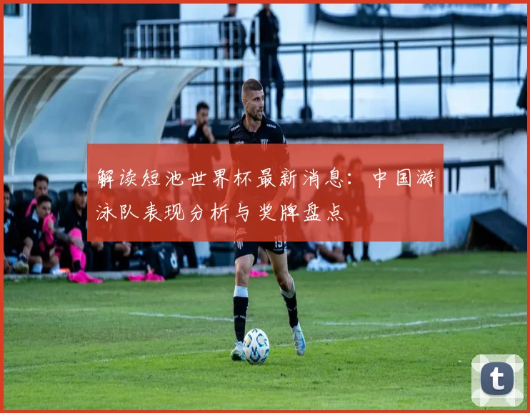 解读短池世界杯最新消息：中国游泳队表现分析与奖牌盘点