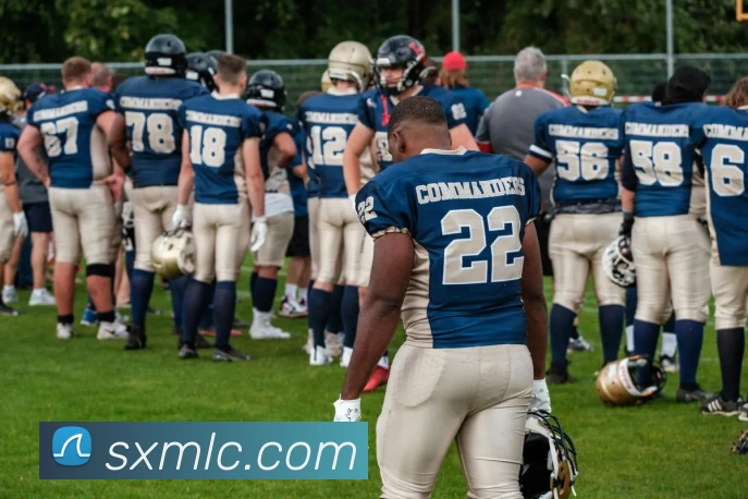 米兰app官方正版官网发展历程